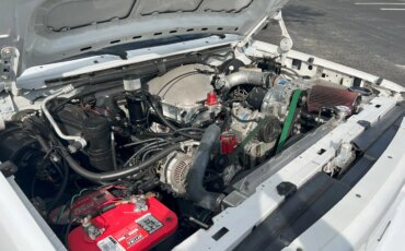 Ford-F150-2wd-regular-cab-lightning-1994-White-Gray-15