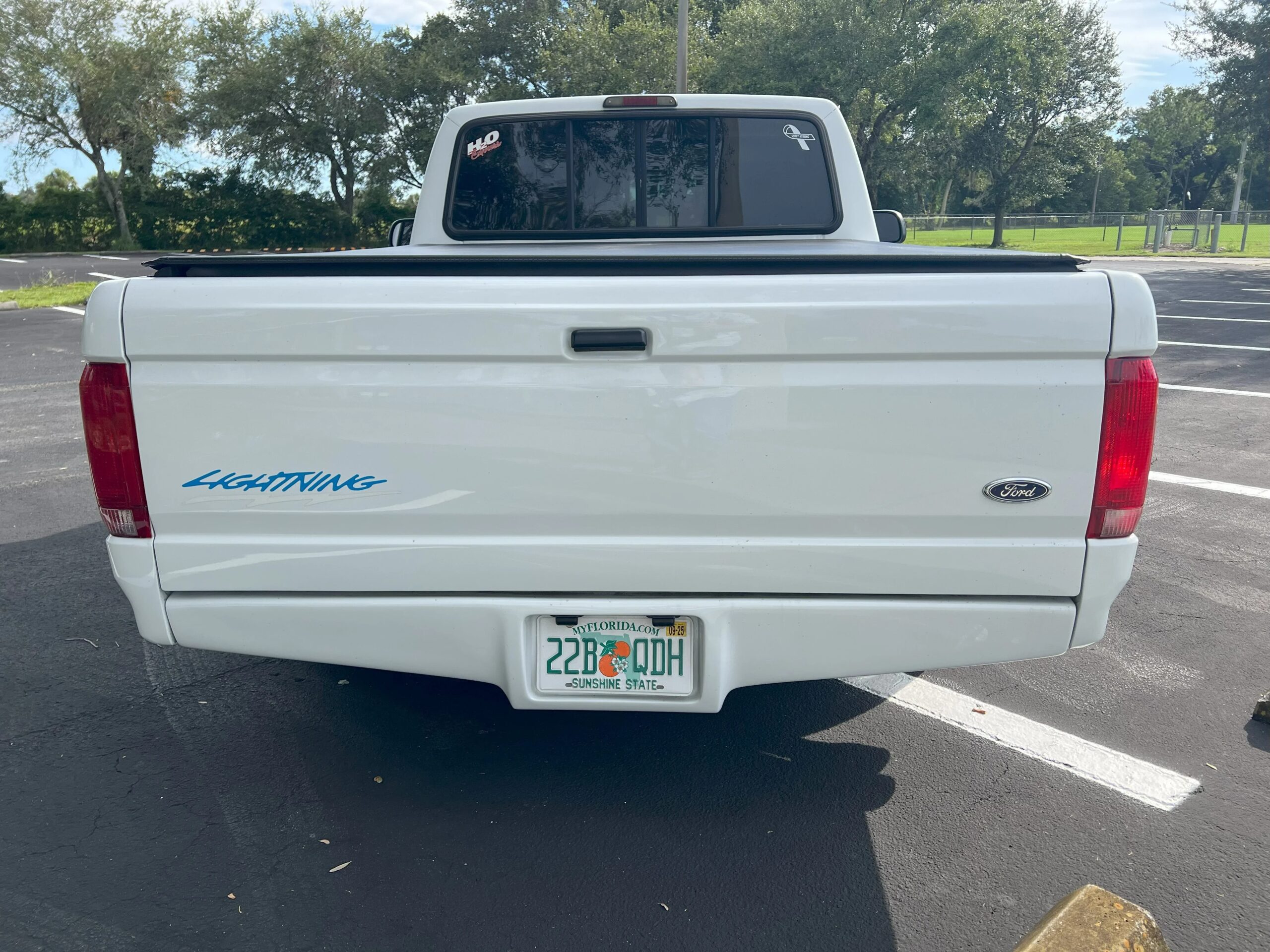 Ford-F150-2wd-regular-cab-lightning-1994-White-Gray-2