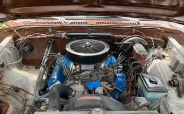 Ford-F150-2wd-supercab-xl-1975-Brown-Tan-30