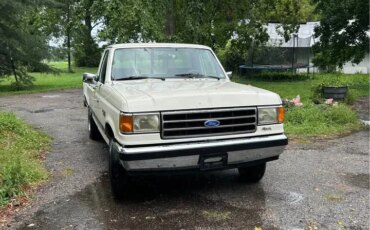Ford-F150-4x4-regular-cab-1989-White-Blue