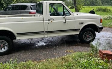 Ford-F150-4x4-regular-cab-1989-White-Blue-6