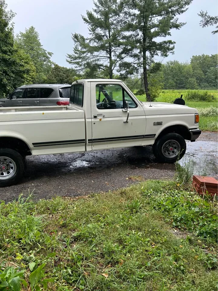 Ford-F150-4x4-regular-cab-1989-White-Blue-6