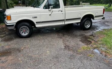 Ford-F150-4x4-regular-cab-1989-White-Blue-8