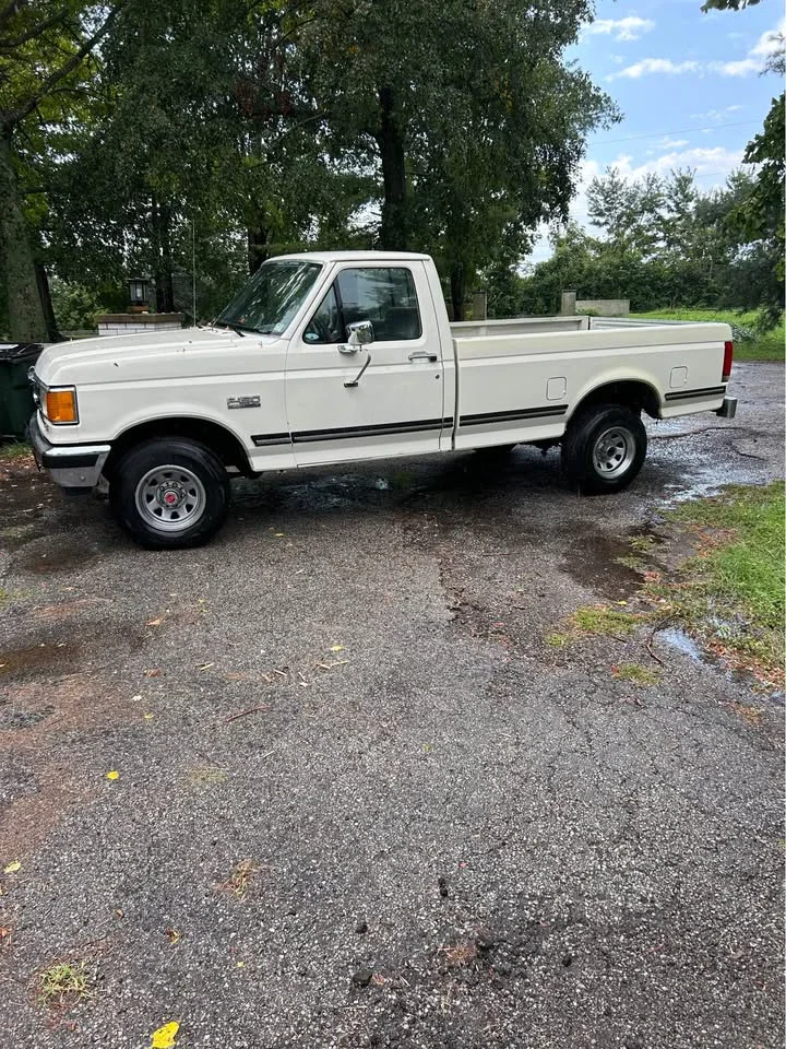 Ford-F150-4x4-regular-cab-1989-White-Blue-8