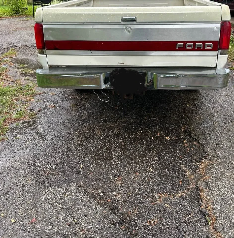 Ford-F150-4x4-regular-cab-1989-White-Blue-9
