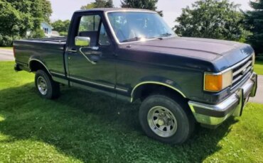 Ford-F150-4x4-regular-cab-1990-Blue-Blue-2