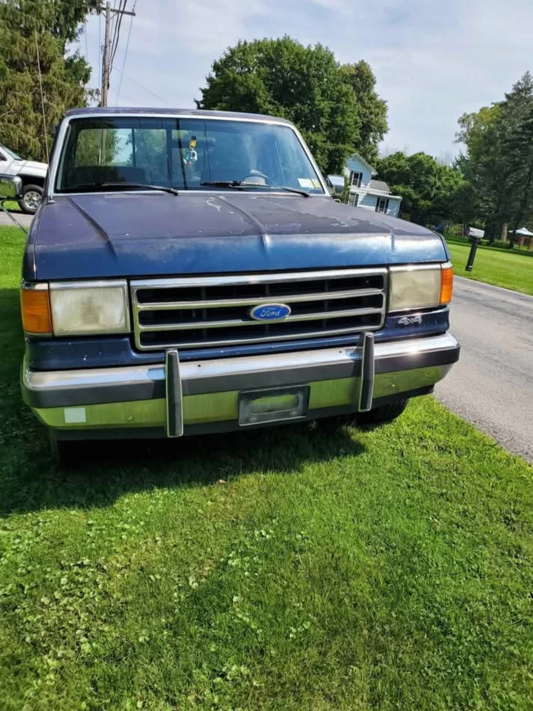 Ford-F150-4x4-regular-cab-1990-Blue-Blue-3