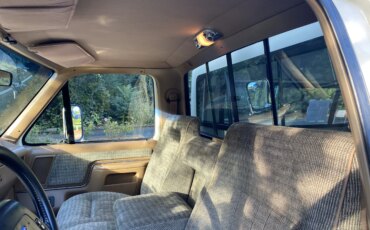 Ford-F150-4x4-regular-cab-1991-Other-Tan-13