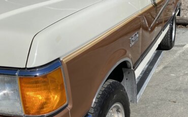 Ford-F150-4x4-regular-cab-1991-Other-Tan-39