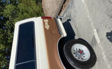 Ford-F150-4x4-regular-cab-1991-Other-Tan-47