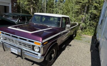 Ford-F250-1977-Purple-Black-1