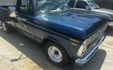 Ford-F250-2wd-regular-cab-1977-Blue-2