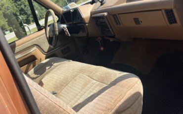 Ford-F250-2wd-regular-cab-1989-Brown-Tan-10