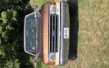 Ford-F250-2wd-regular-cab-1989-Brown-Tan-2