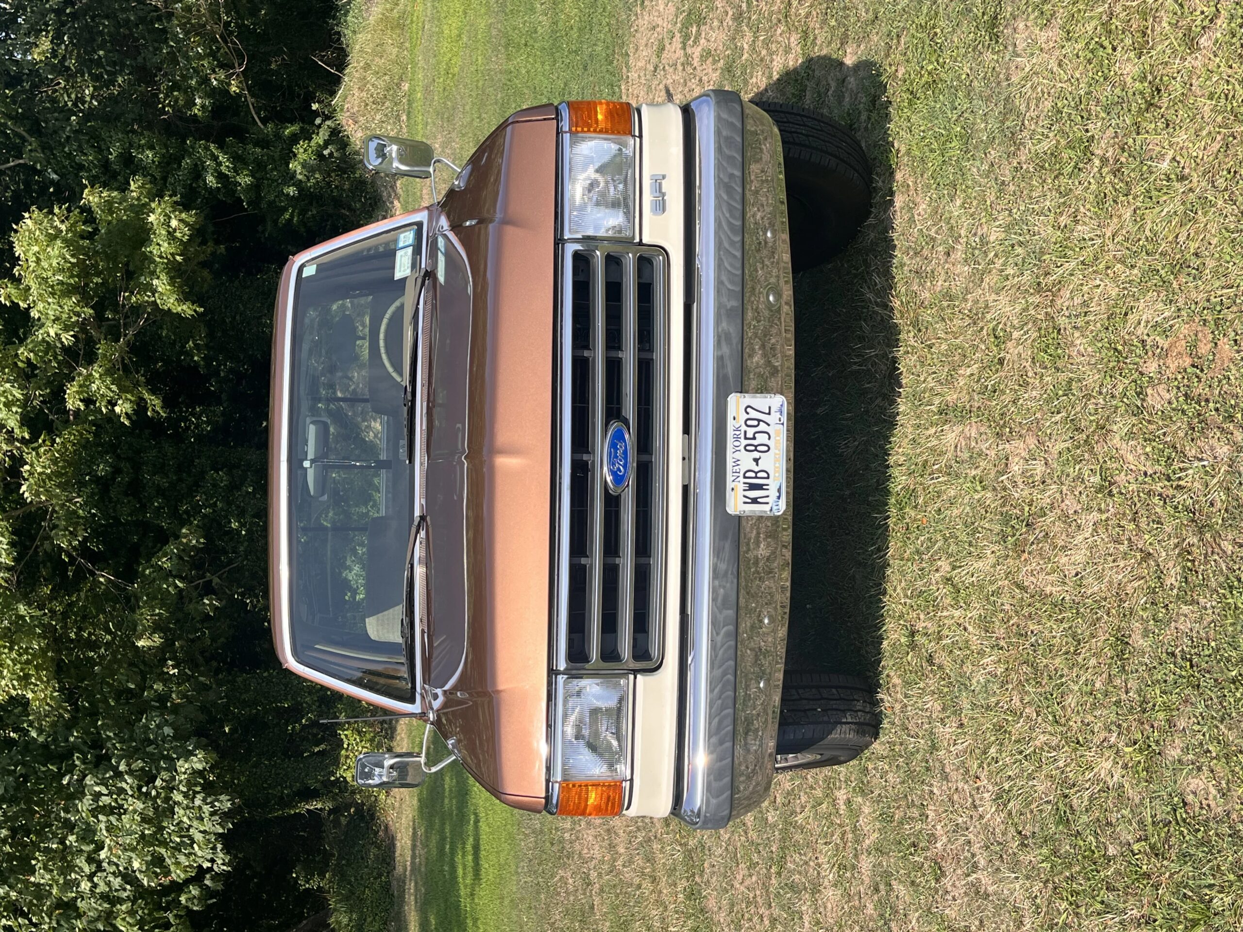 Ford-F250-2wd-regular-cab-1989-Brown-Tan-2