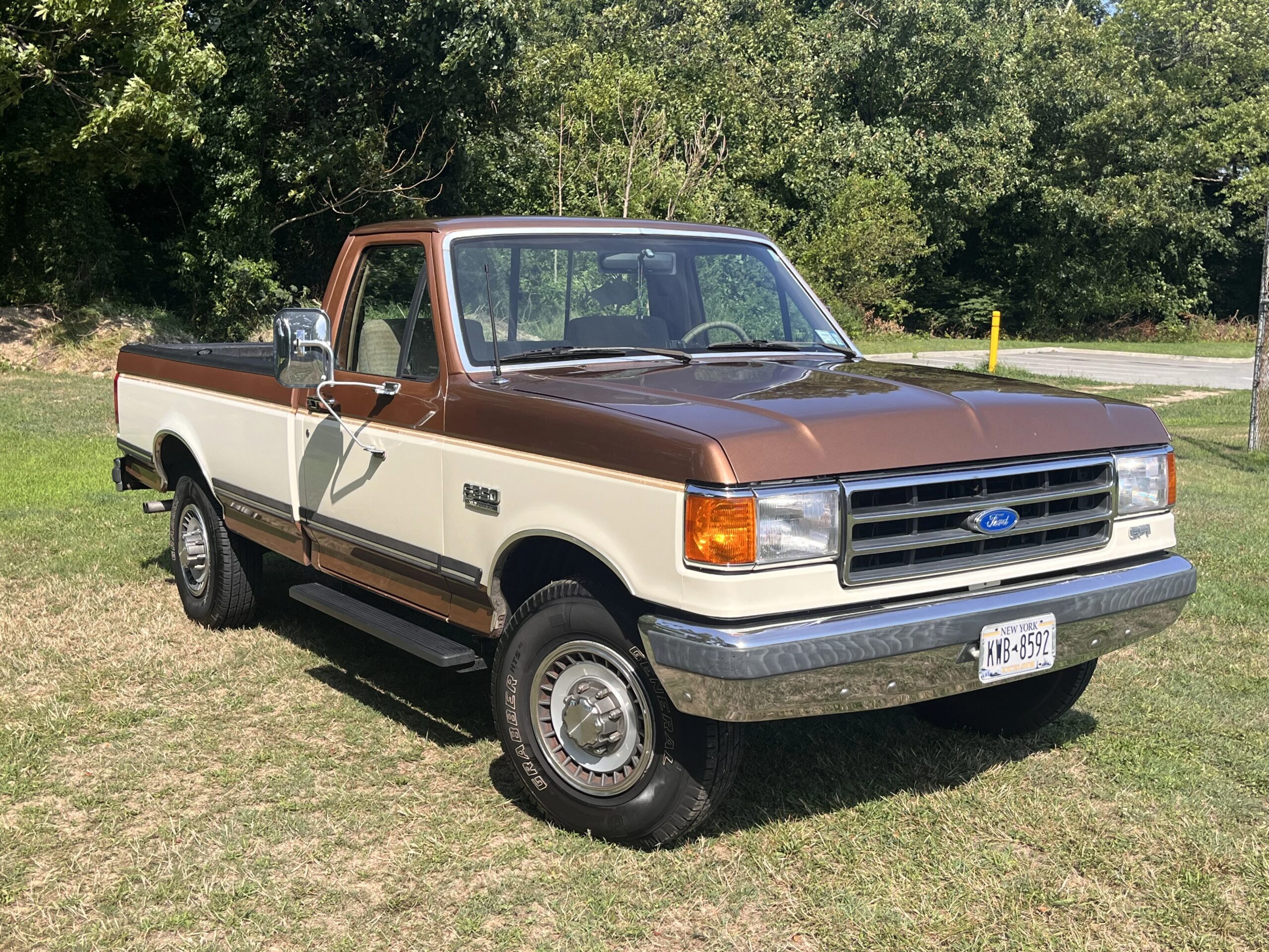 Ford-F250-2wd-regular-cab-1989-Brown-Tan-3