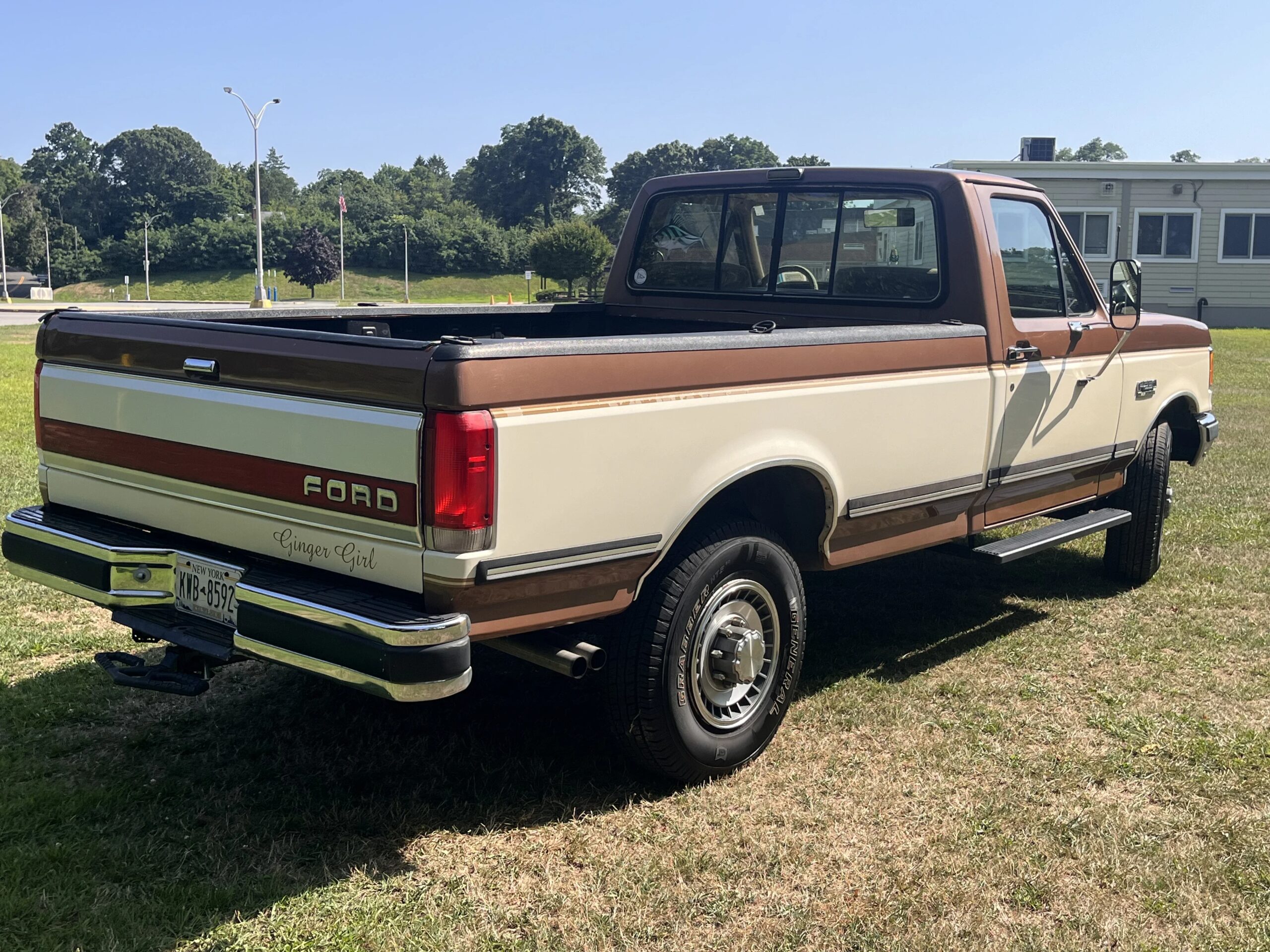 Ford-F250-2wd-regular-cab-1989-Brown-Tan-4