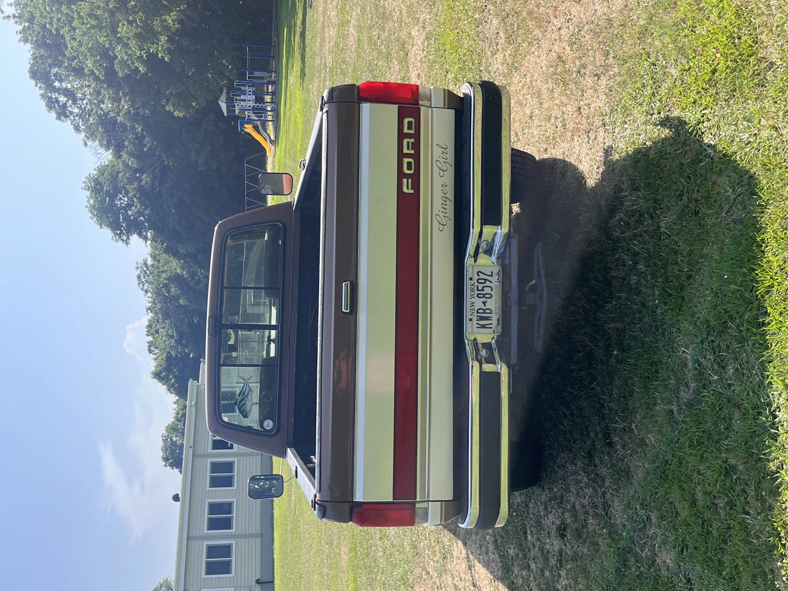 Ford-F250-2wd-regular-cab-1989-Brown-Tan-5