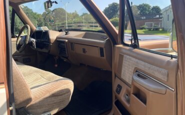 Ford-F250-2wd-regular-cab-1989-Brown-Tan-6