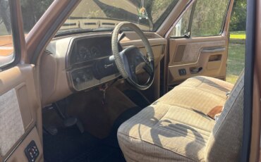 Ford-F250-2wd-regular-cab-1989-Brown-Tan-7