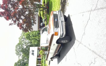 Ford-F250-2wd-regular-cab-1989-Brown-Tan-8
