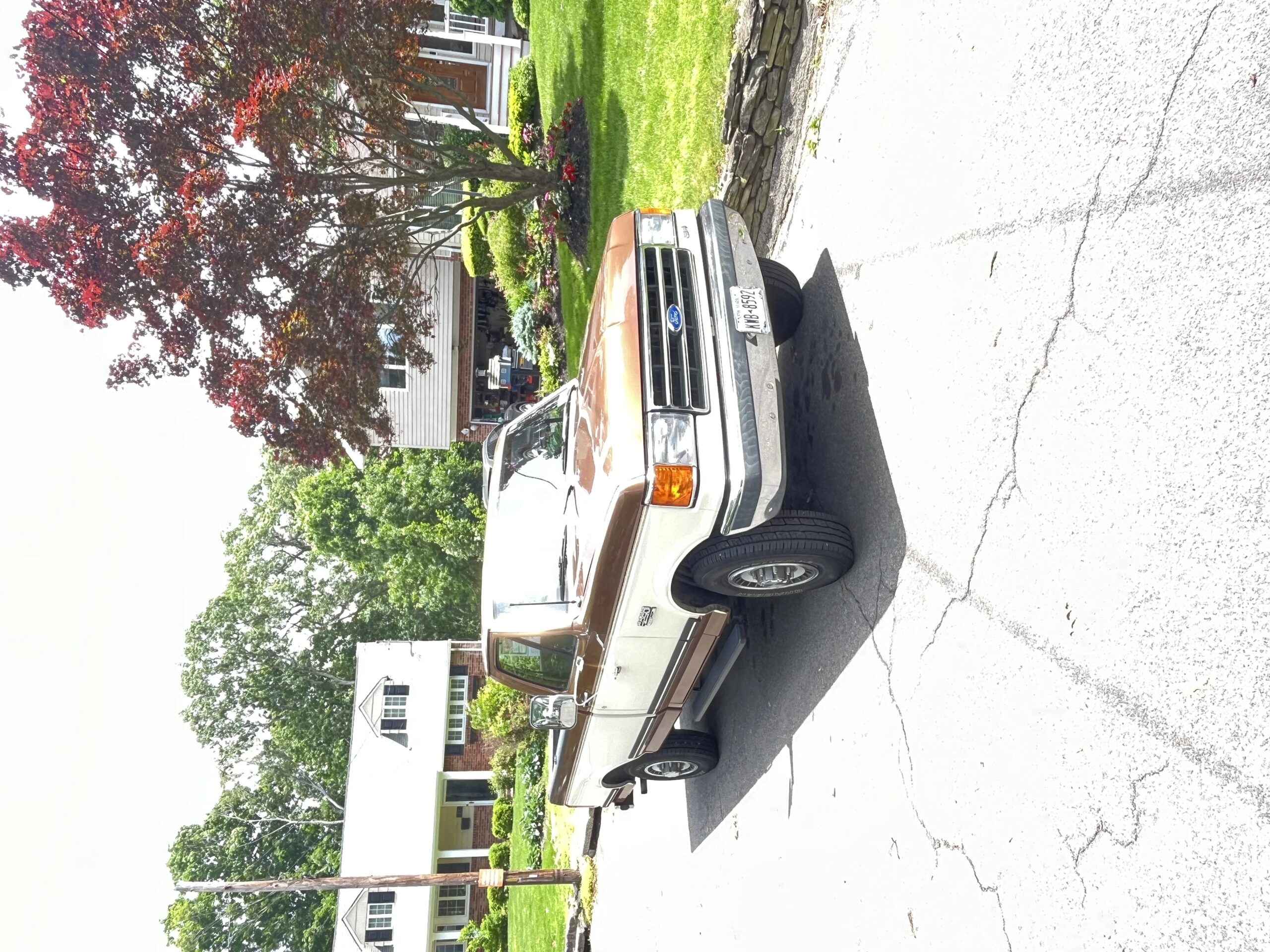 Ford-F250-2wd-regular-cab-1989-Brown-Tan-8