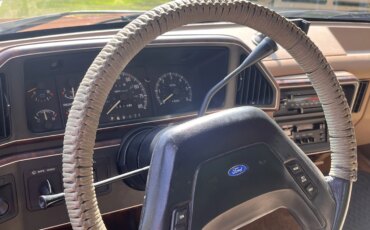 Ford-F250-2wd-regular-cab-1989-Brown-Tan-9