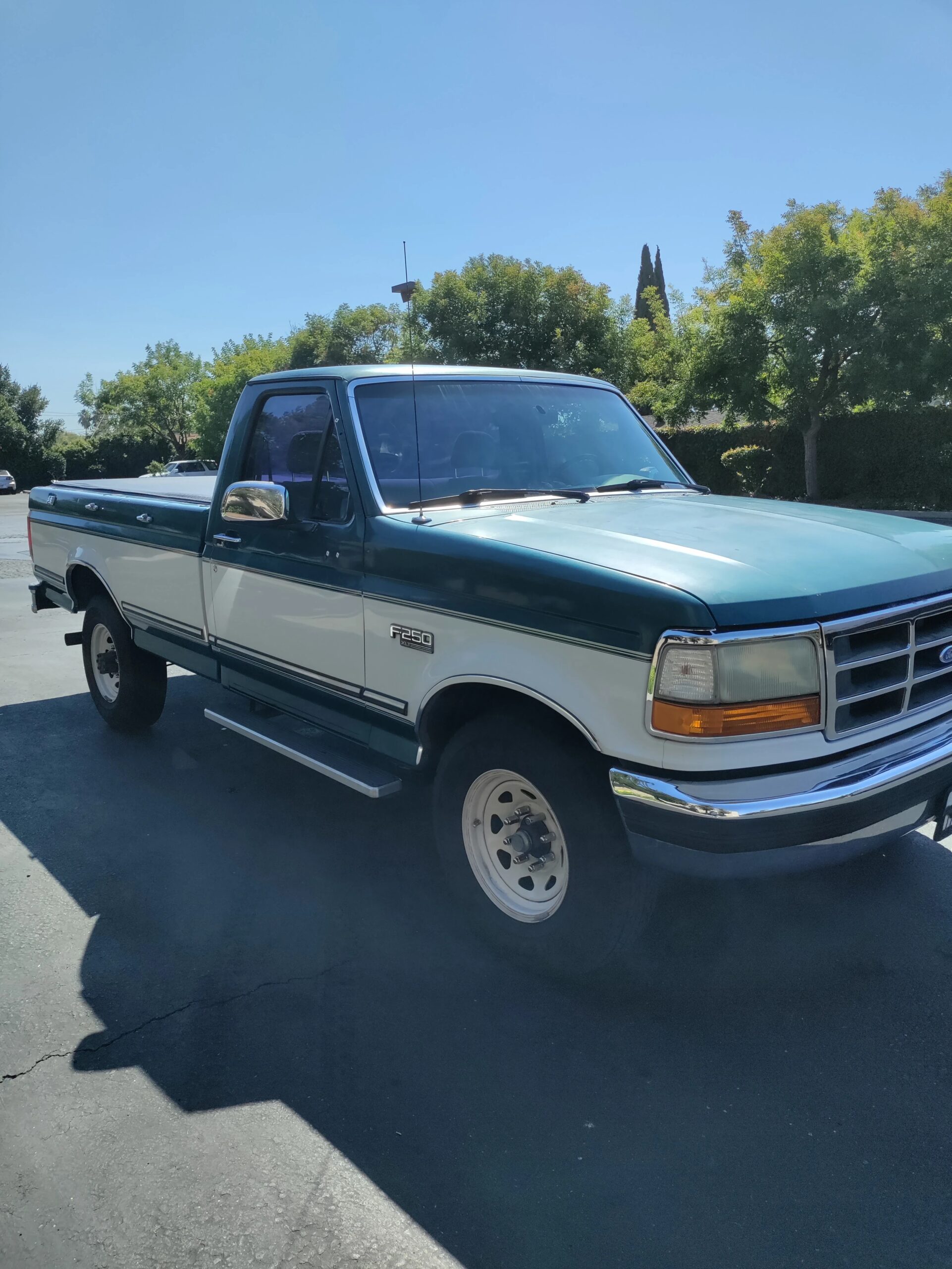 Ford-F250-2wd-regular-cab-heavy-duty-1995-Green-Gray-1