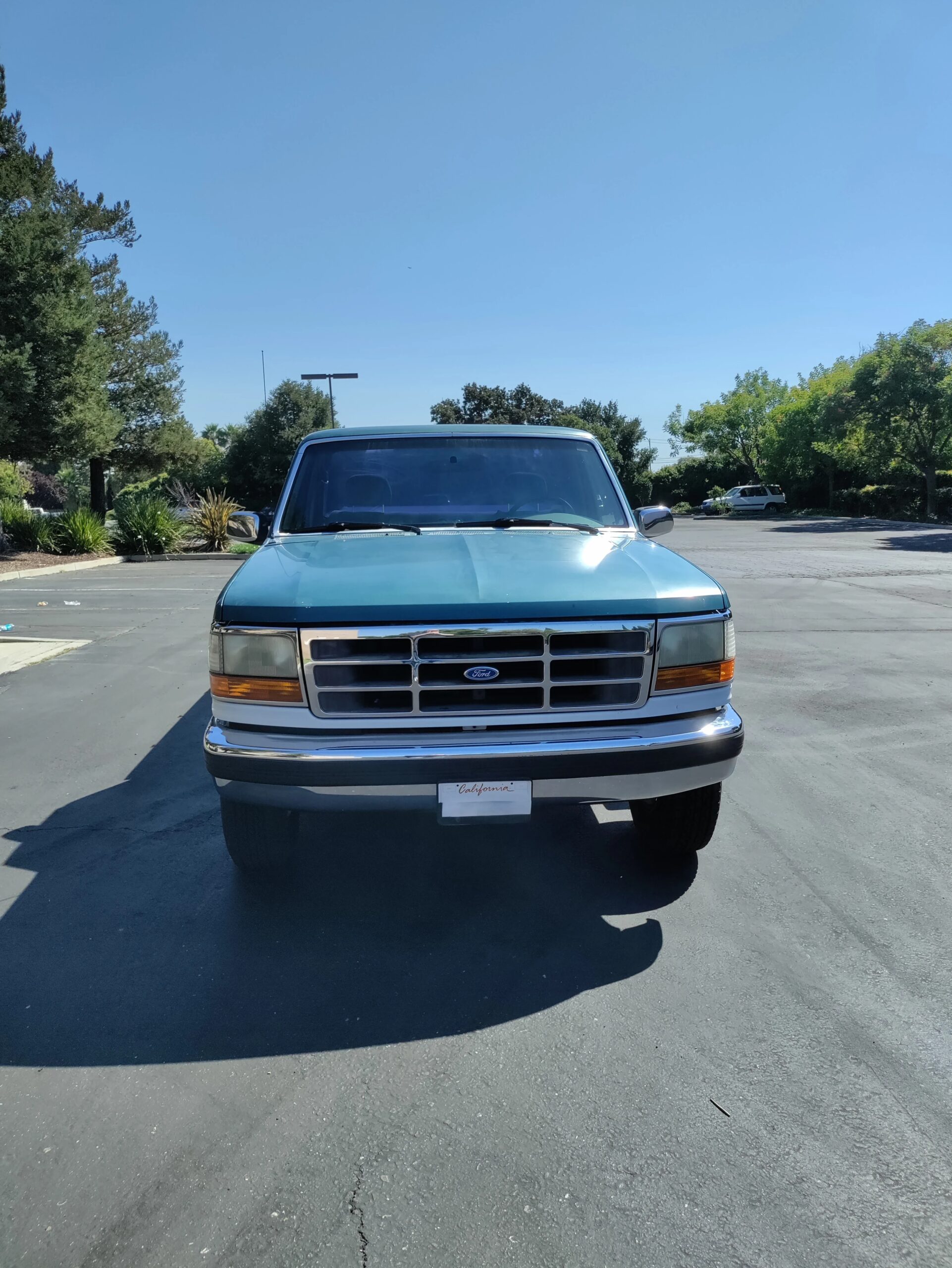 Ford-F250-2wd-regular-cab-heavy-duty-1995-Green-Gray-2