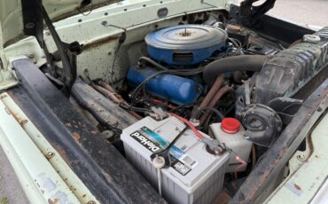 Ford-F250-2wd-regular-cab-xlt-1971-Green-Green-26
