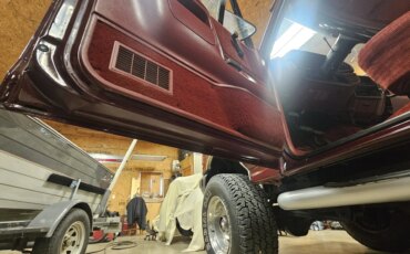 Ford-F250-4x4-regular-cab-1989-Burgundy-Burgundy-19