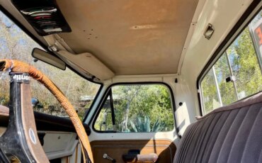 Ford-F250-camper-special-1972-Tan-Brown-2