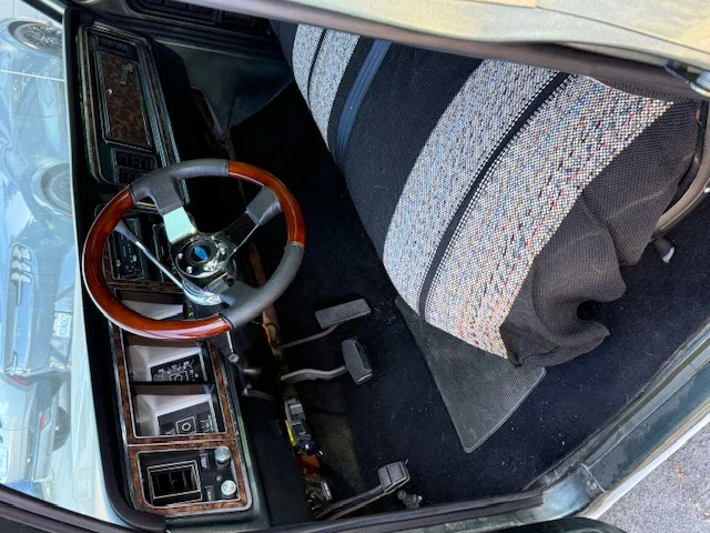 Ford-F250-camper-special-1979-Green-Black-1