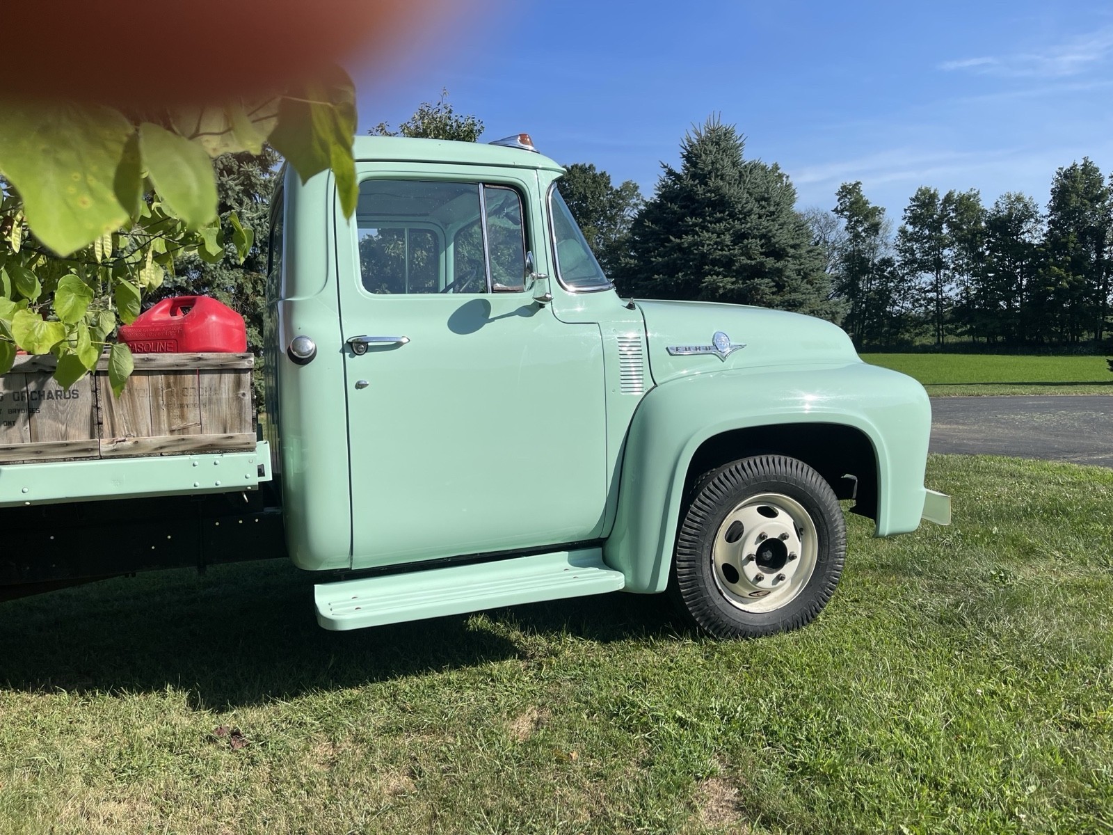Ford-F350-1956-4