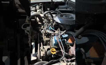 Ford-F350-1981-White-Red-1