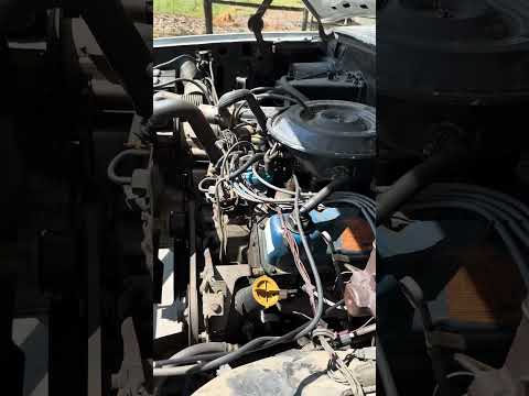 Ford-F350-1981-White-Red-1