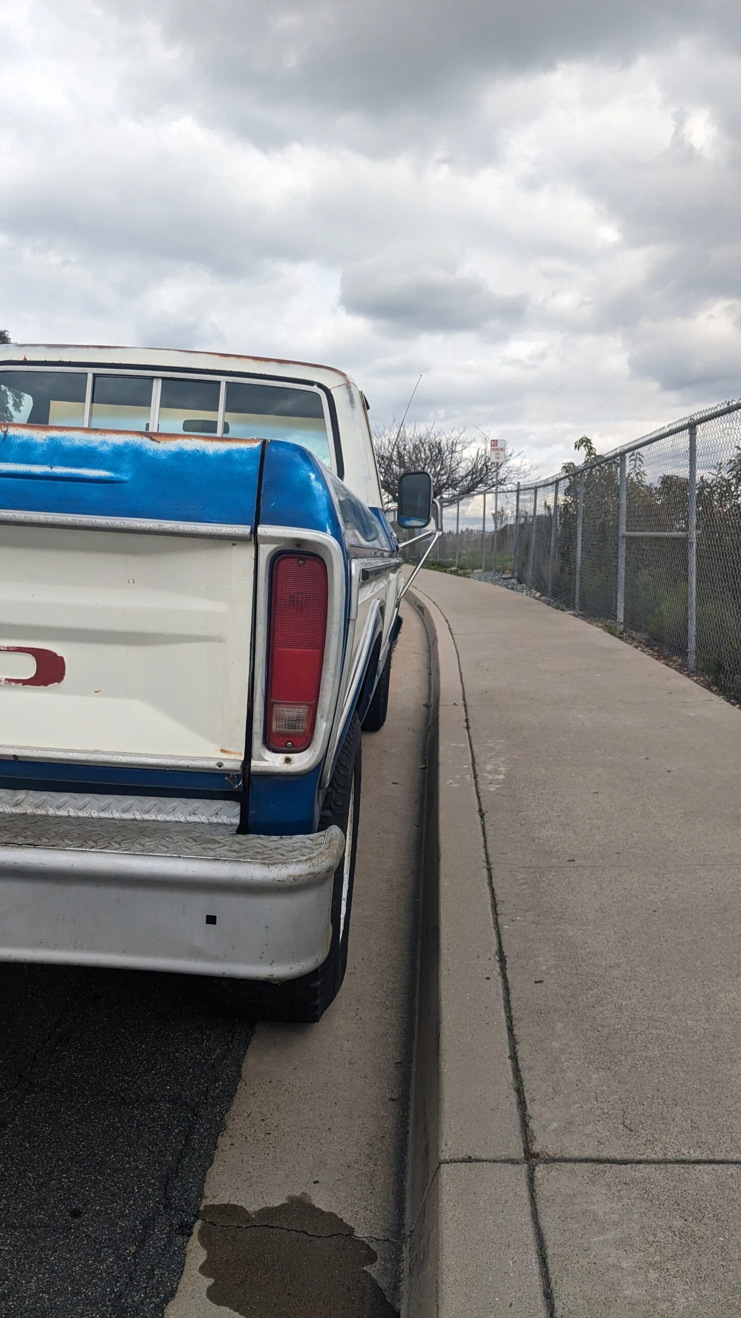 Ford-F350-2wd-regular-cab-1977-Blue-10