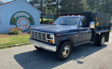 Ford-F350-2wd-regular-cab-1984-Blue-Blue-19
