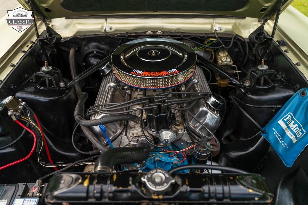 Ford-Fairlane-1965-2-door-2