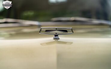 Ford-Fairlane-1965-2-door-20
