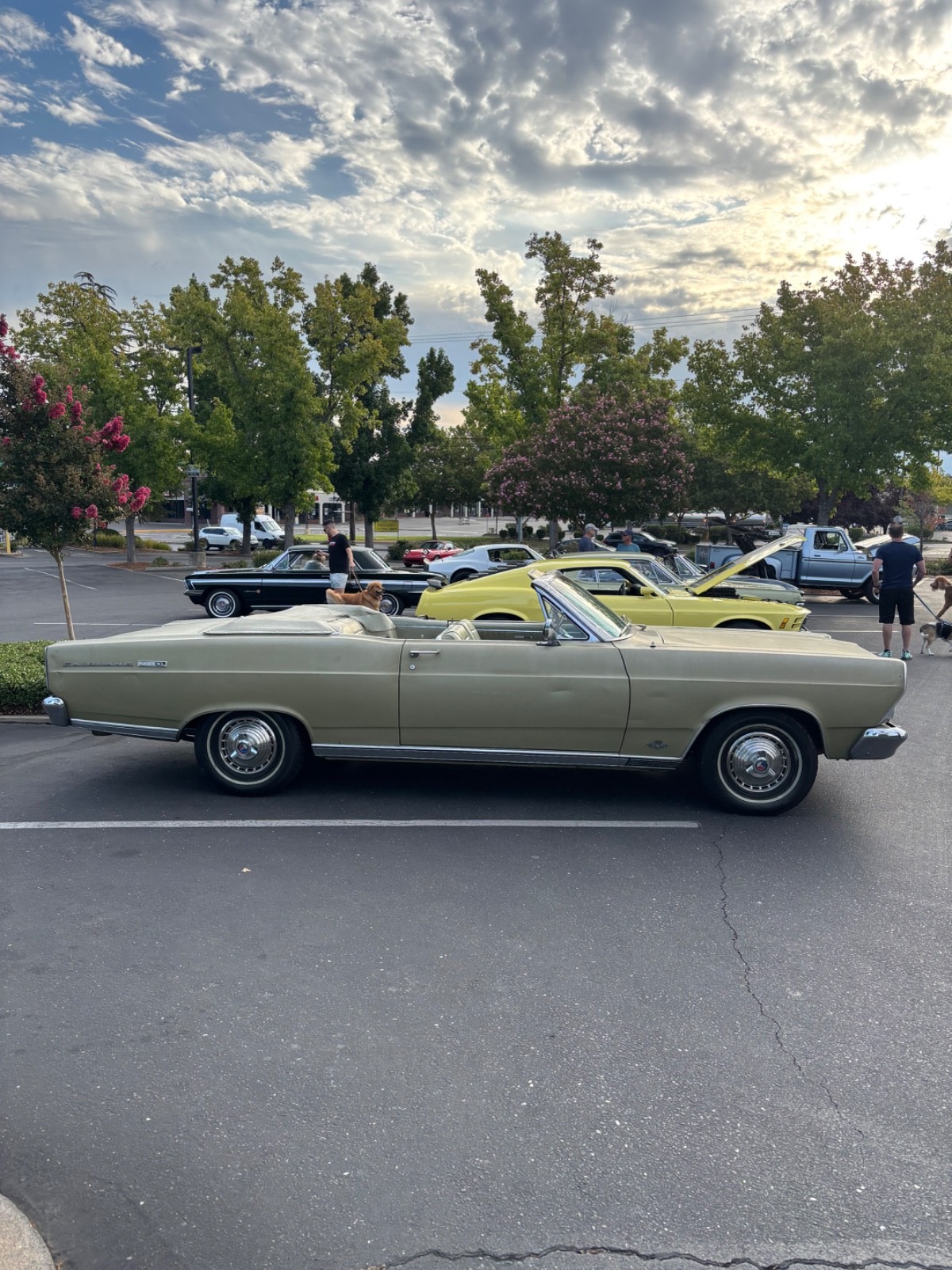 Ford-Fairlane-1966-Convertible-21
