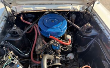 Ford-Fairlane-500-1965-Coupe-14