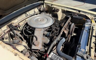 Ford-Fairmont-1979-Beige-Beige-12