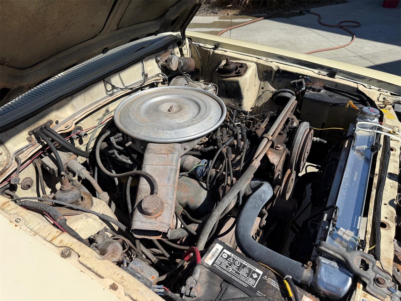 Ford-Fairmont-1979-Beige-Beige-12