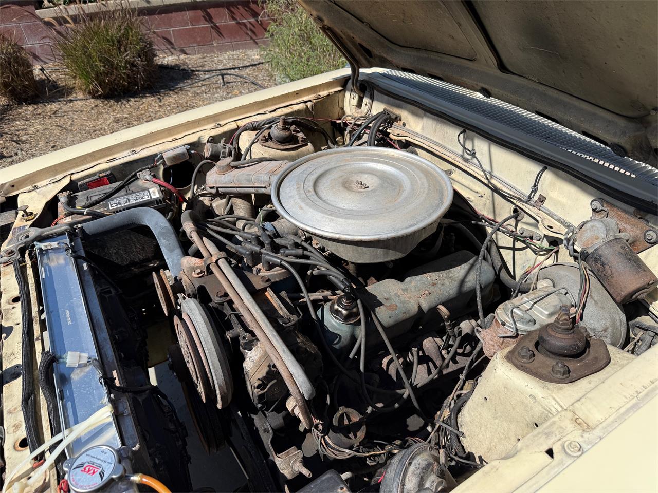 Ford-Fairmont-1979-Beige-Beige-9
