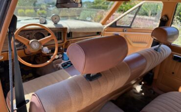 Ford-Fairmont-1979-Station-Wagon-9