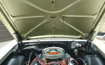 Ford-Galaxie-1965-Green-Black-11