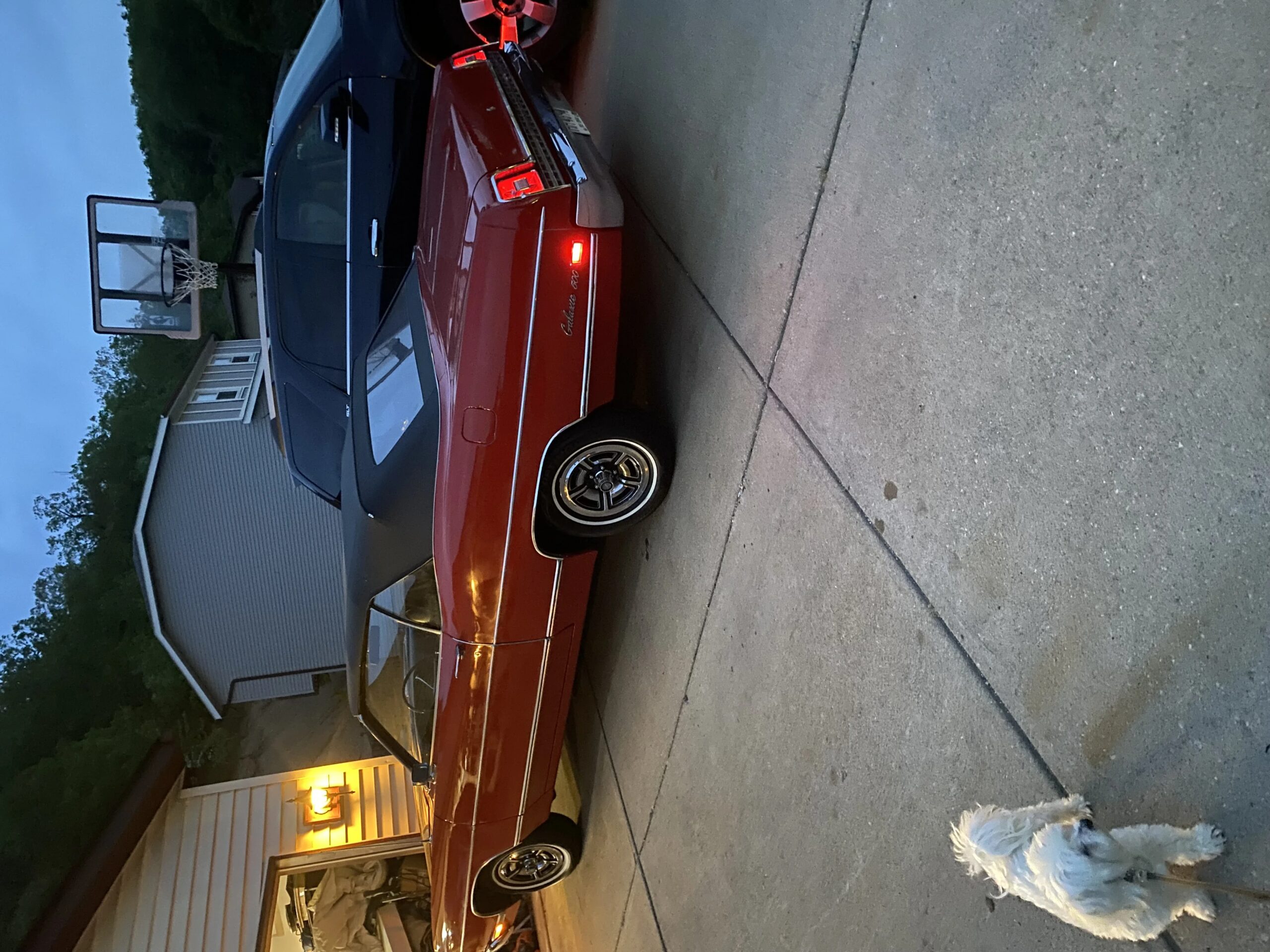 Ford-Galaxie-1969-Red-Black-3