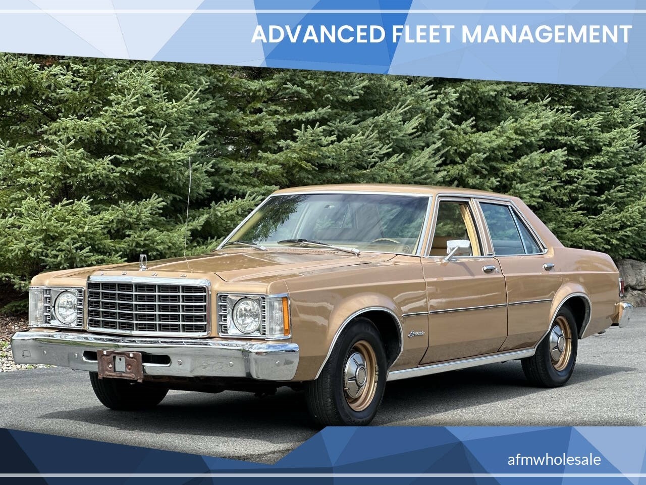 Ford-Granada-1975-Sedan