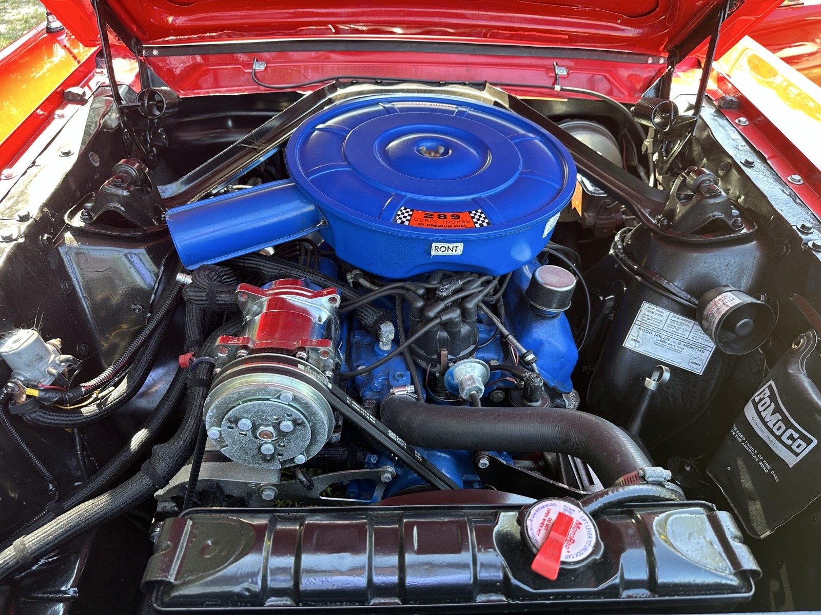 Ford-Mustang-1965-12